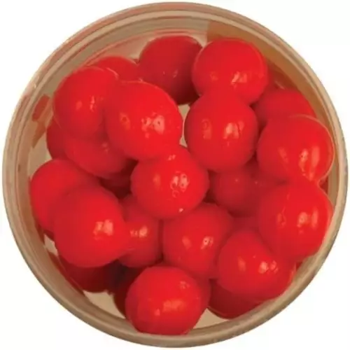 Berkley PowerBait Garlic Scent Fluorescent Orange Power Eggs 549919 - 3