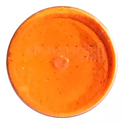 Berkley PowerBait Natural Scent Fluorescent Orange Garlic 022665 - 2