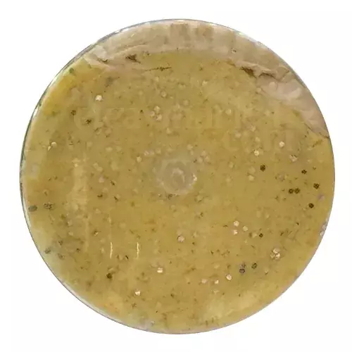 Berkley PowerBait Natural Scent Tequila N Salt Garlic Worm 927229 - 2