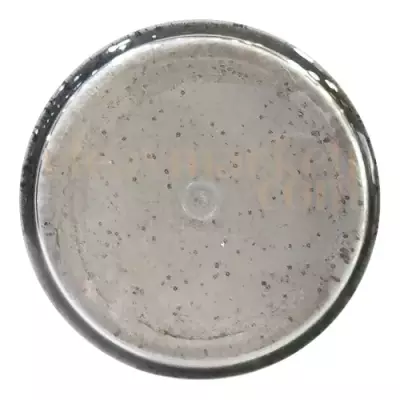 Berkley PowerBait Natural Scent White Garlic 634226 - 2