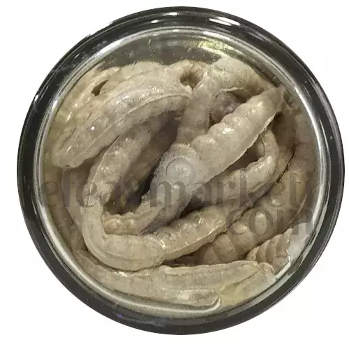 Berkley PowerBait Power Honey Worm Garlic White 706886 - 2